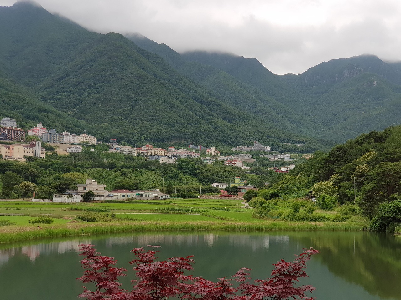 당진 회맛집