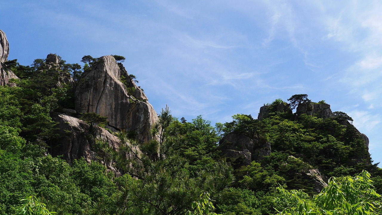 둔산동 회식
